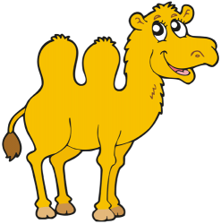 Camell, gran mamífer amb dues gepes d'Àsia Joc