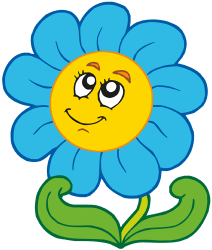 Margarida blava, flor d'un arbust Joc