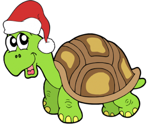 Una tortuga a les celebracions de Nadal Joc