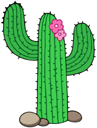 Cactus del Desert de Sonora, el saguaro Joc