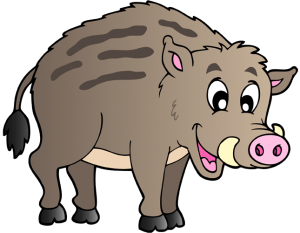 Porc senglar, avantpassat del porc domèstic Joc