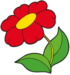 Gerbera vermella, flor ornamental Joc