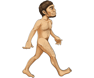 Homo erectus, ús d'eines i el foc Joc