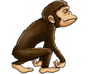 Un primat homínid, avantpassat comú Joc