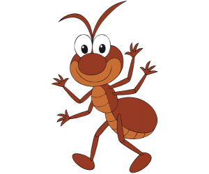 Una formiga, un animal que viu en colònies Joc